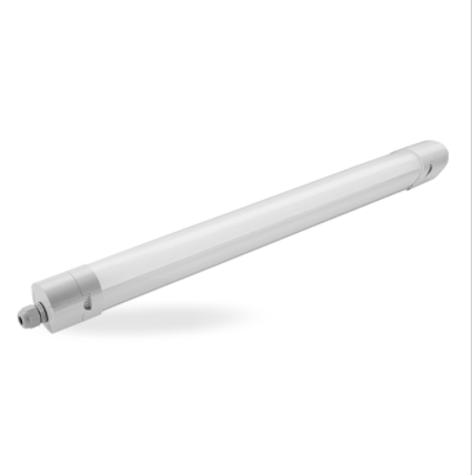 How do we maintain the Fluorescent lights?