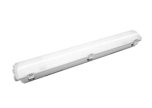 What are the types of Fluorescent lights