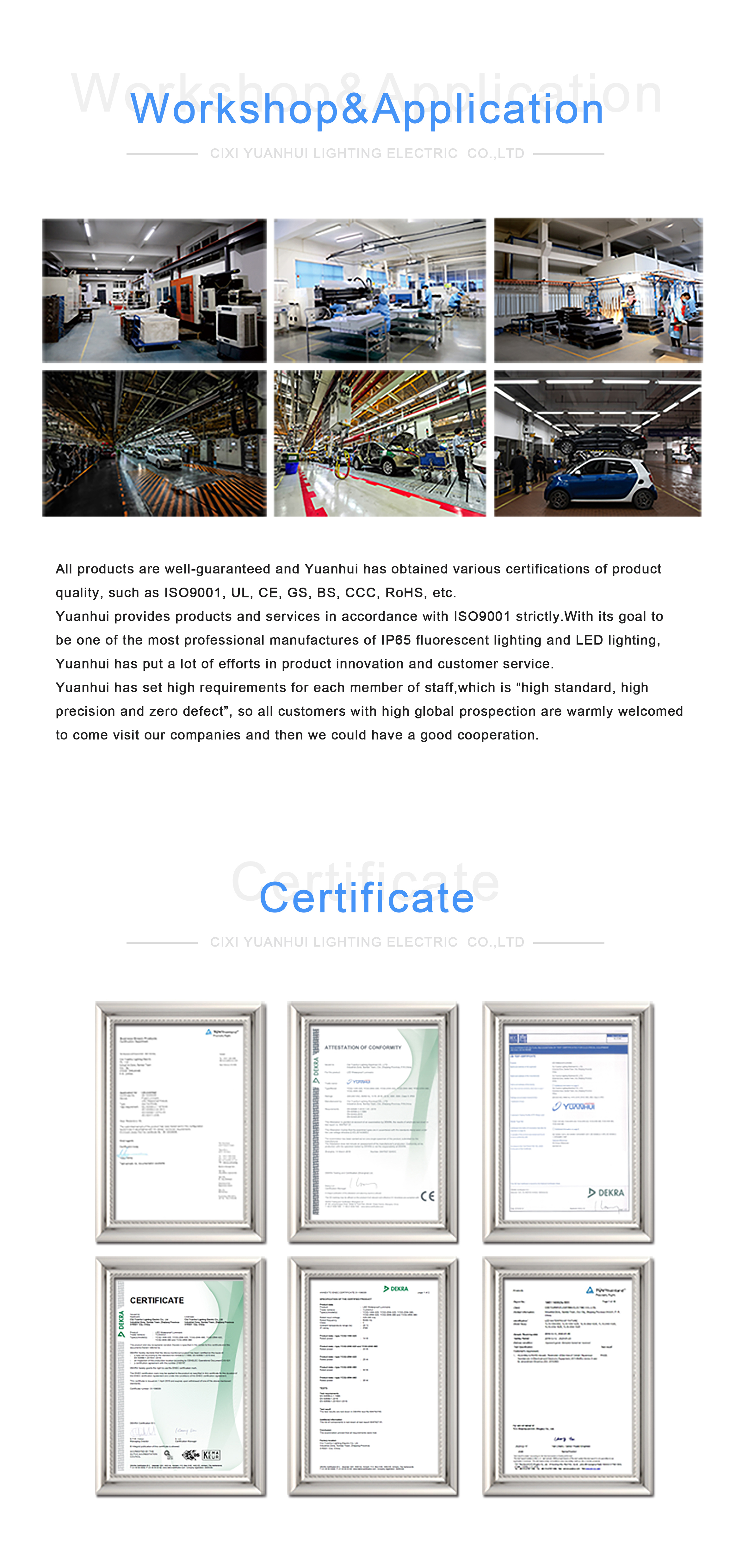 adjustable LED triproof light